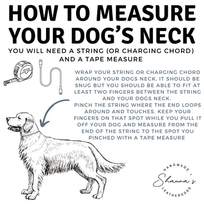 Western Dog Collar